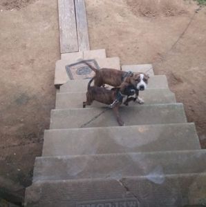 Meet your Posher, M cody